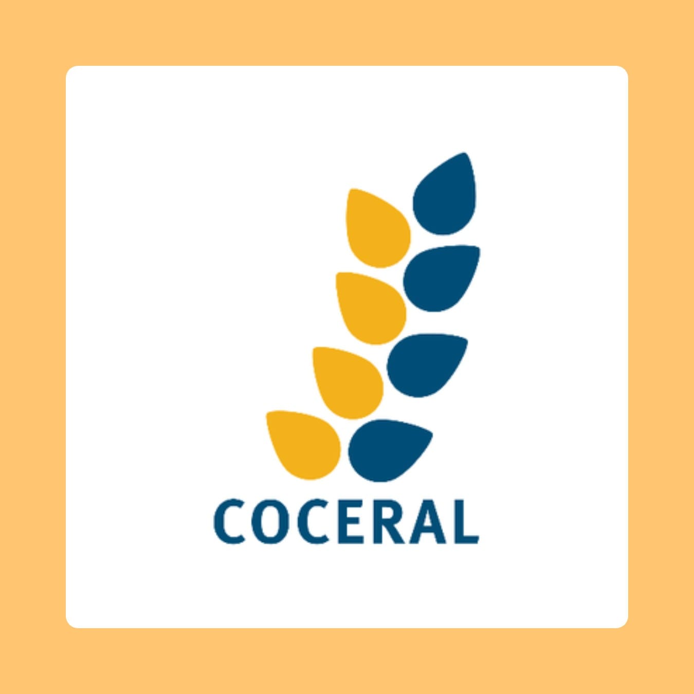 COCERAL: grano duro UE-27 in calo a 8,0 mln t nel 2026, rese in flessione generalizzata. Italia confermata primo produttore di duro ma arretra