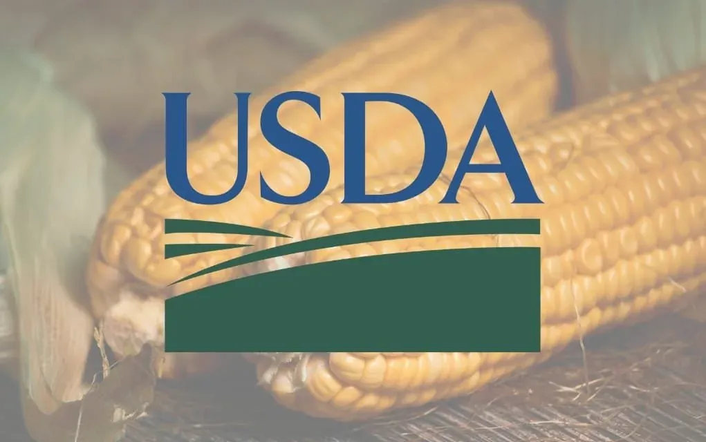Come reagiscono i mercati ai rapporti USDA? Il quadro storico 1984-2025