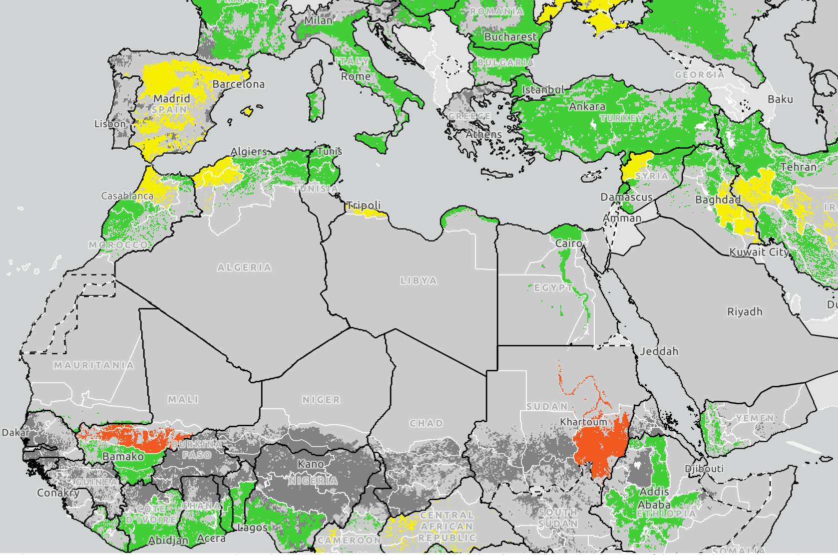 Nord Africa 2026: grano duro in ripresa. 5,6 milioni di tonnellate e meno domanda canadese in arrivo
