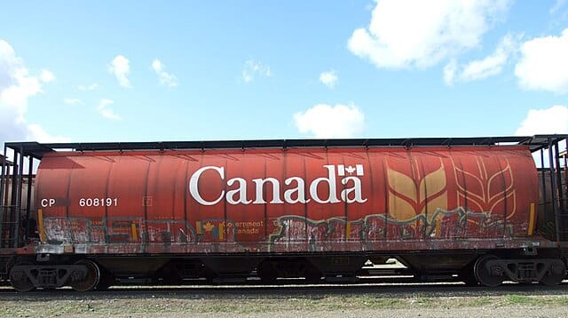 Grano duro canadese: le esportazioni crescono del 4% a stagione in corso