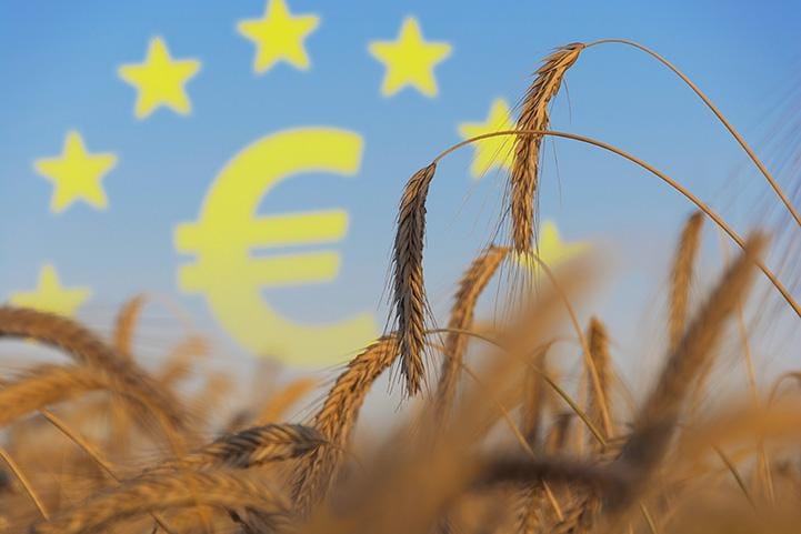 UE 2026/27: Raccolto di frumento tenero rivisto al rialzo, ma il confronto con la stagione precedente resta pesante