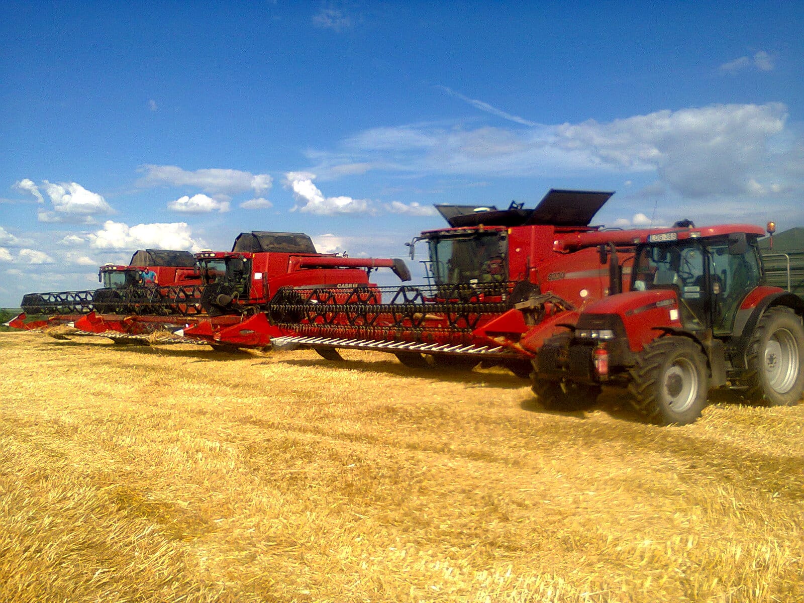 Il divieto ungherese sulle importazioni agricole ucraine è durato sette giorni: Budapest corre ai ripari dopo un errore legislativo