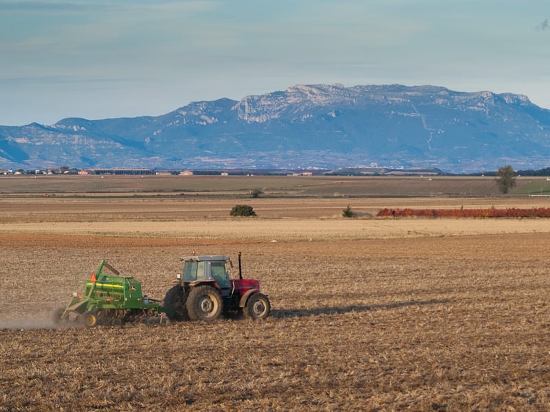 Aggiornamenti rese duro italiane ed europee. In Spagna, produzione di tenero e duro in discesa