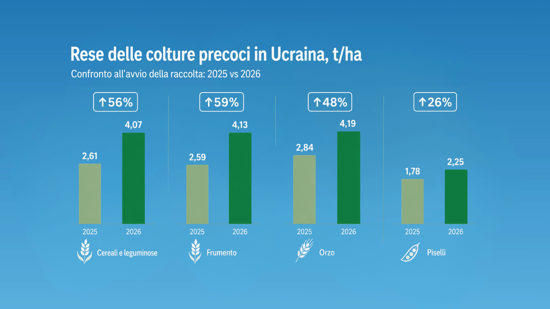 Ucraina, raccolto 2026: rese iniziali oltre le 4 t/ha, +56% a/a. Prezzi FOB e scorte sotto osservazione