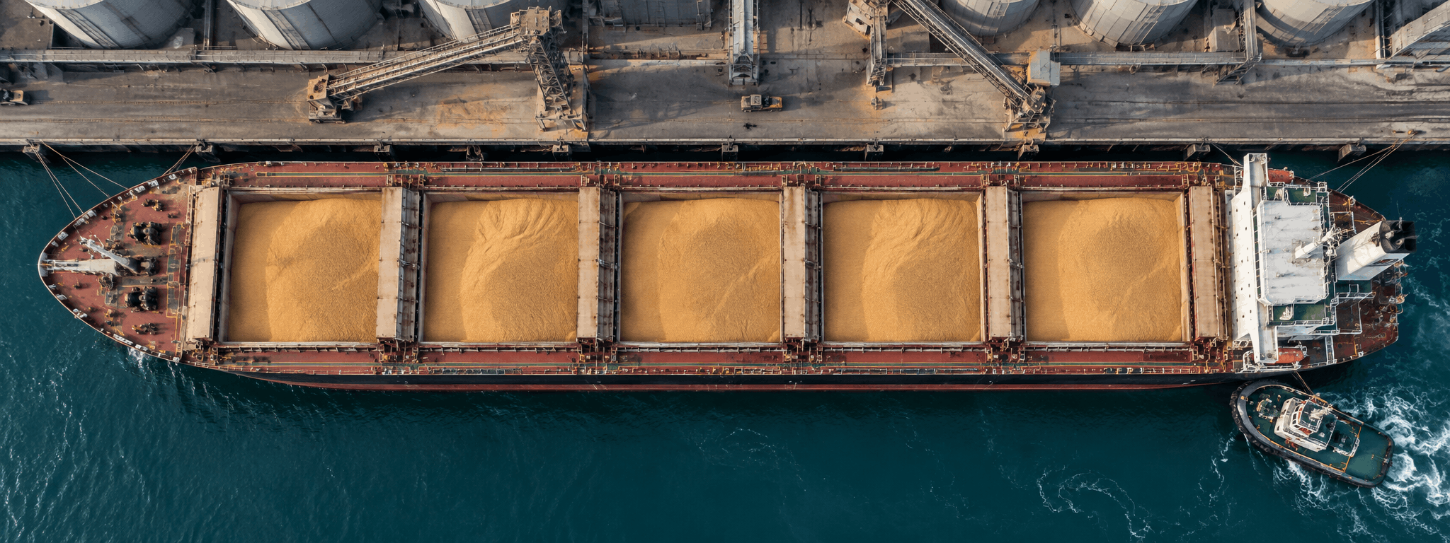 Grano duro, analizziamo le offerte dell'ultimo tender tunisino